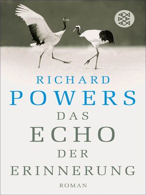 cover image of Das Echo der Erinnerung